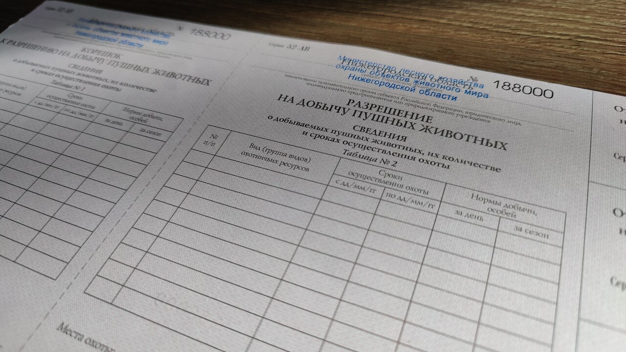 В Нижегородской области начали выдавать разрешения на добычу пушных животных